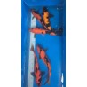 KOI NISAI HI UTSURI 35-40 Cm Marusei 150 €