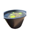 Pot lotus nenuphar poubellarium 75 litres