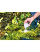 Traitement contre l'eau verte et algues filamenteuses